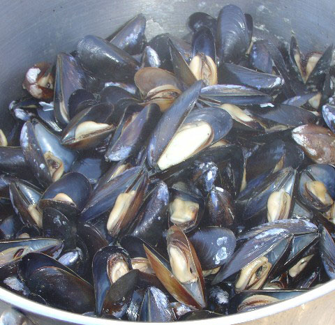 Marinated Mussels